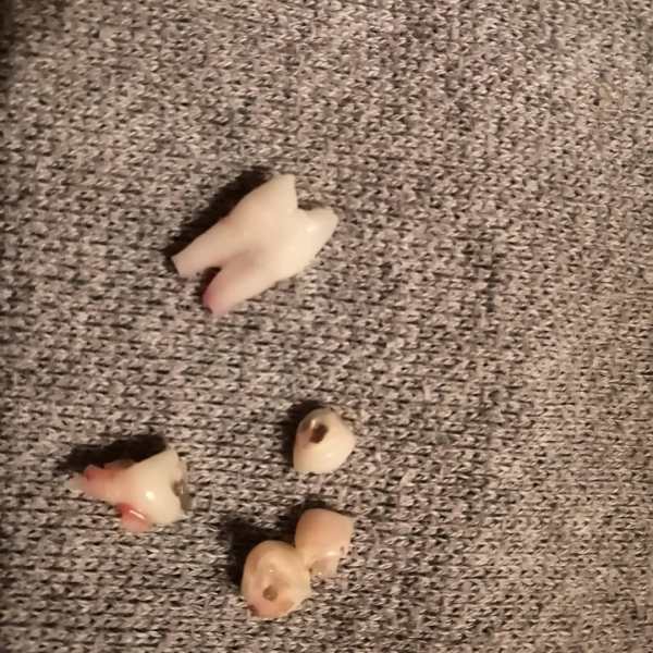 Nos commentaires mensuels...